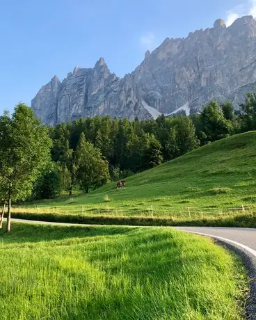 dolomites in the summer, road, meadow, cow, and mountains