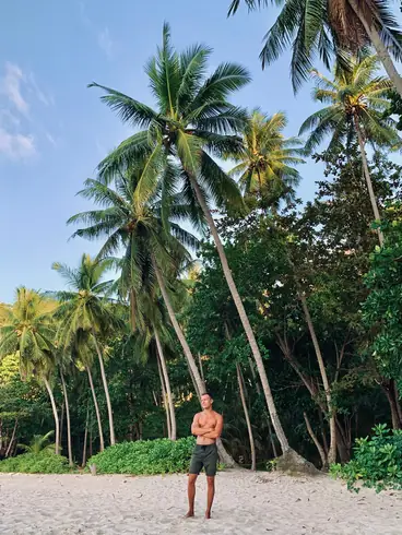 tall palm trees