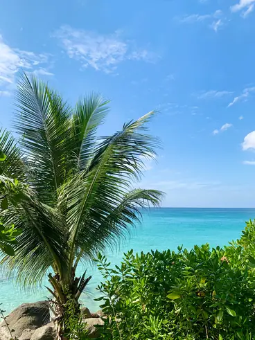 Kata Noi beach view