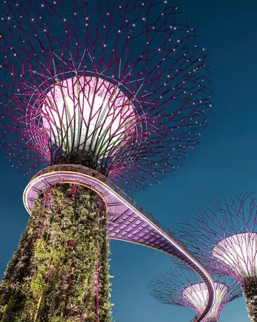 Gardens by the Bay, Singapure