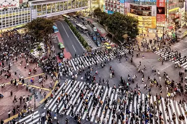 Tokyo Shibuya crossing