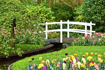 wooden bridge Keukenhof